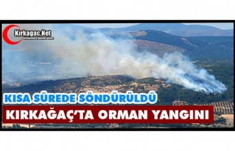 KIRKAĞAÇ'TA ORMAN YANGINI