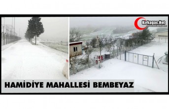 HAMİDİYE MAHALLESİ BEMBEYAZ