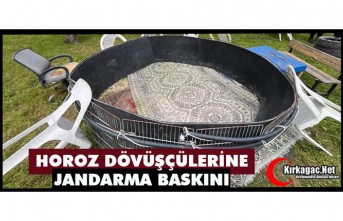 HOROZ DÖVÜŞÇÜLERİNE JANDARMA BASKINI