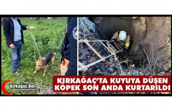 KIRKAĞAÇ’TA KUYUYA DÜŞEN KÖPEK SON ANDA KURTARILDI