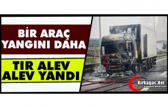 BİR ARAÇ YANGINI DAHA…OTOYOLDA ALEV ALAN TIR KÜLE DÖNDÜ