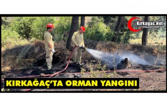 KIRKAĞAÇ’TA ORMAN YANGINI