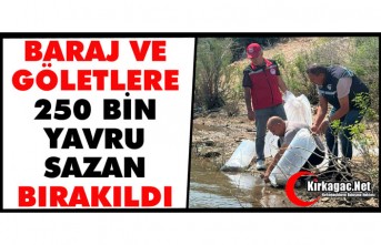 BARAJ VE GÖLETLERE 250 BİN YAVRU SAZAN BIRAKILDI