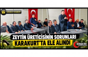 ZEYTİN ÜRETİCİSİNİN SORUNLARI KARAKURT’TA ELE ALINDI