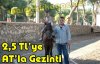 2.5 TL'ye AT'la Gezinti