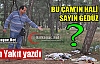 AKIN YAKIT “BU ÇAM'IN HALİ NE GEDÜZ”