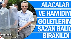 ALACALAR ve HAMİDİYE GÖLETLERİNE SAZAN BIRAKILDI