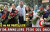 BELEDİYE'DEN ANNELERE 7500 ADET GÜL