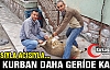 BİR KURBAN BAYRAMI DAHA GERİDE KALDI