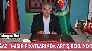 BOĞAZ “MISIR FİYATLARINDA ARTIŞ BEKLİYORUZ” 