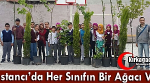 BOSTANCI’DA HER SINIFIN BİR AĞACI VAR