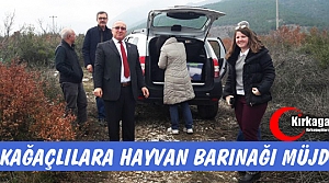 BÜYÜKŞEHİR’DEN KIRKAĞAÇLILARA “HAYVAN BARINAĞI”...