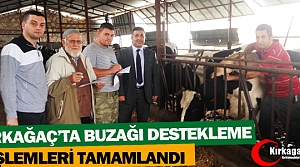 BUZAĞI DESTEKLEME İŞLEMLERİ TAMAMLANDI