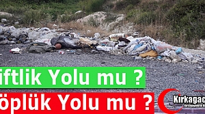 ÇİFTLİK YOLU MU, ÇÖPLÜK YOLU MU ?