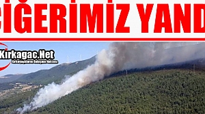 CİĞERİMİZ YANDI...