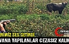 DANAYA İŞKENCE CEZASIZ KALMADI