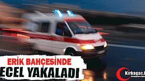 ECEL ERİK BAHÇESİNDE YAKALADI