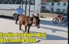 Eşeğin Isırdığı 2 Kişi Hastanelik Oldu