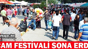 GELENEKSEL ÇAM FESTİVALİ SONA ERDİ