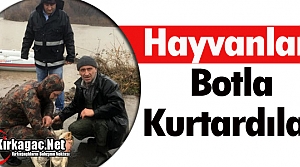 HAYVANLARI BOTLA KURTARDILAR