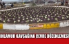 IHLAMUR EVLERİ KAVŞAĞINA ÇEVRE DÜZENLEMESİ