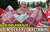 İŞTE EN DEĞERLİ BATTANİYE