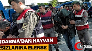 JANDARMA'DAN HAYVAN HIRSIZLARINA ELENSE