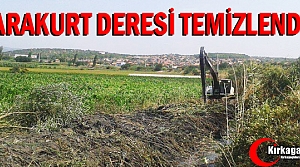 KARAKURT DERESİ TEMİZLENDİ