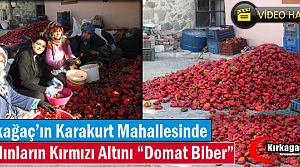 KARAKURTLU KADINLARIN KIRMIZI ALTINI ”DOMAT BİBER”(VİDEO)