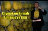 KAYMAKAM SIRMALI ALMANYA'YA GİTTİ