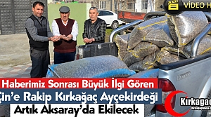 KIRKAĞAÇ AY ÇEKİRDEĞİ ARTIK AKSARAY'DA DA EKİLECEK