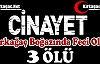 KIRKAĞAÇ BOĞAZINDA CİNAYET 3 ÖLÜ