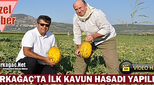 KIRKAĞAÇ KAVUNUNDA İLK HASAT YAPILDI(ÖZEL HABER)