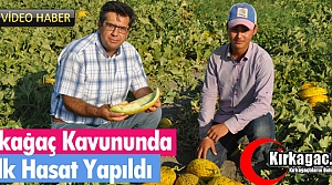 KIRKAĞAÇ KAVUNUNDA İLK HASAT YAPILDI(VİDEO)