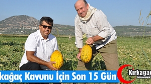 KIRKAĞAÇ KAVUNUNDA SON 15 GÜN