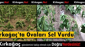 KIRKAĞAÇ OVASI YAĞMURDAN ZARAR GÖRDÜ