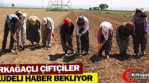 KIRKAĞAÇLI ÇİFTÇİLER MÜJDELİ HABER BEKLİYOR