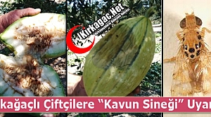 KIRKAĞAÇLI ÇİFTÇİYE “KAVUN SİNEĞİ” UYARISI