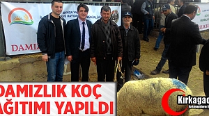 KIRKAĞAÇLI HAYVAN YETİŞTİRİCİLERİ DAMIZLIK KOÇLARINA KAVUŞTU