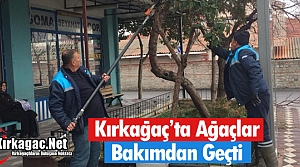 KIRKAĞAÇ'TA AĞAÇLAR BAKIMDAN GEÇTİ