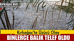 KIRKAĞAÇ'TA BİNLERCE BALIK TELEF OLDU