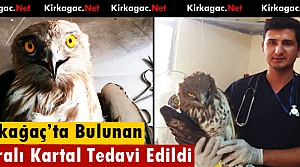 KIRKAĞAÇ’TA BULUNAN YARALI KARTAL TEDAVİ EDİLDİ