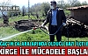 KIRKAĞAÇ'TA ÇEKİRGE İLE MÜCADELE ÇALIŞMALARI...