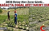 KIRKAĞAÇ’TA DOĞAL AFET TARIM'I VURDU