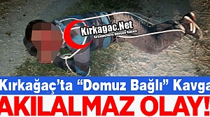 KIRKAĞAÇ'TA “DOMUZ BAĞLI“ AKIL ALMAZ KAVGA