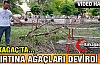 KIRKAĞAÇ'TA FIRTINA AĞAÇLARI DEVİRDİ(VİDEO)