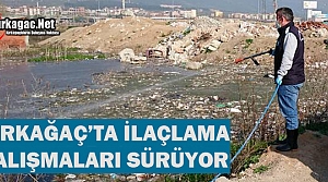 KIRKAĞAÇ'TA İLAÇLAMA ÇALIŞMALARI SÜRÜYOR