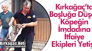 KIRKAĞAÇ'TA KÖPEĞİN İMDADINA İTFAİYE EKİPLERİ...