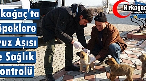 KIRKAĞAÇ'TA KÖPEKLERE UYUZ AŞISI VE SAĞLIK KONTROLÜ