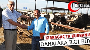 KIRKAĞAÇ'TA KURBANLIK DANALARA İLGİ BÜYÜK